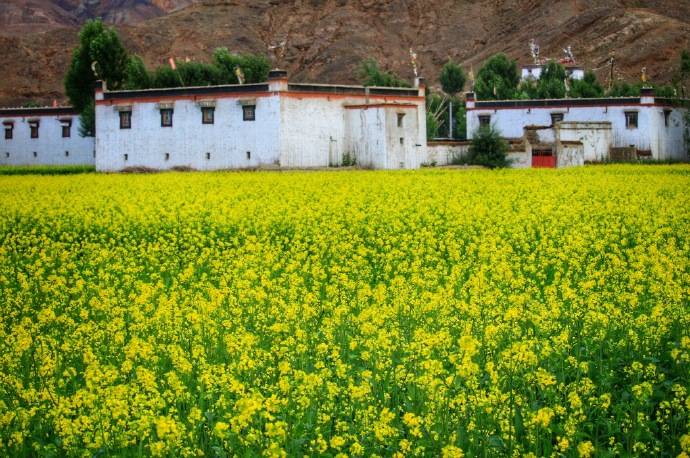 安国门脸出租最新消息,自然美景下的内心平和与宁静探索之旅