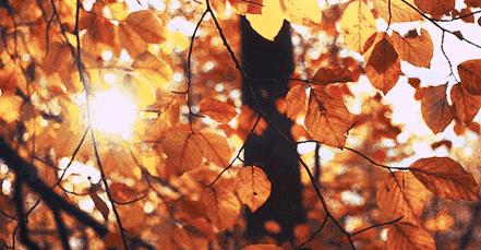 长治市城区最新动态更新 📣🌆