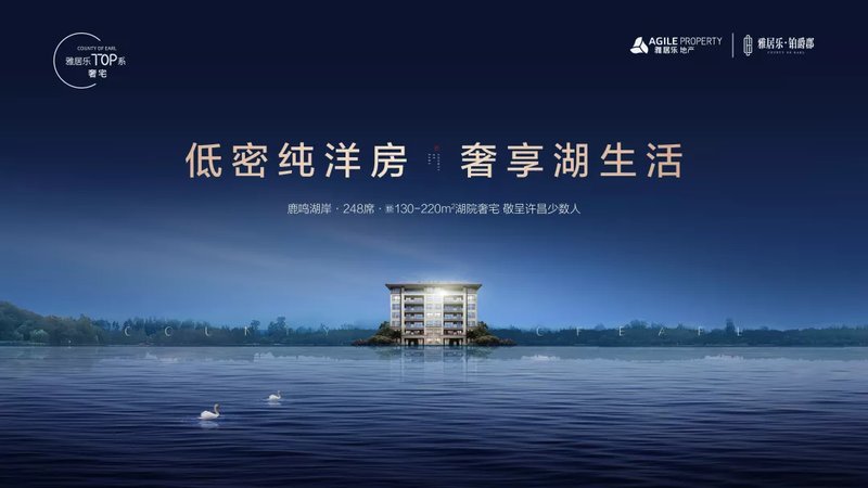 罗田爵财网最新动态,快乐与陪伴一网打尽