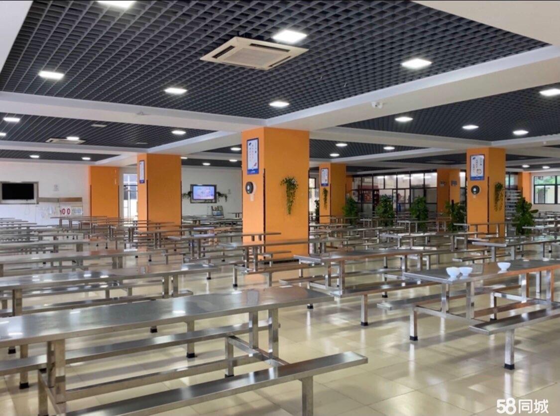 打造校园美食新纪元,最新学校食堂招租启动!